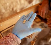 Archeologai prie Negyvosios jūros esančioje oloje ie&scaron;ko istorinių artefaktų