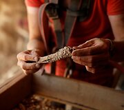 Archeologai prie Negyvosios jūros esančioje oloje ie&scaron;ko istorinių artefaktų