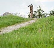 Auk&scaron;čiausios Lietuvos vietos paie&scaron;kos. Juozapinės kalnas