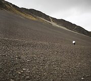 Sniego žvaigždės piligrimų festivalis Peru