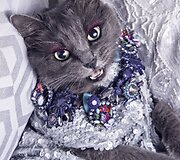 Rumunės glamūrinė katė užkariauja &bdquo;Instagram&ldquo;