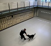 Treniruojami pareigūnų &scaron;unys JAV