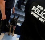 Treniruojami pareigūnų &scaron;unys JAV