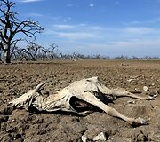 Dėl sausros Paragvajuje i&scaron;džiuvusi upė