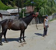 Berevoe&scaron;čio romų rajono Gemeče&scaron;čio gyventojai