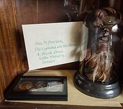 Britė savo namie įsirengė Hario Poterio filmuose matytą interjerą 
