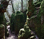 Senovinė giria &bdquo;Puzzlewood&ldquo; Didžiojoje Britanijoje &ndash; viena i&scaron; įkvėpimų &bdquo;Žiedų valdovo&ldquo; trilogijoje