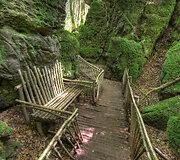 Senovinė giria &bdquo;Puzzlewood&ldquo; Didžiojoje Britanijoje &ndash; viena i&scaron; įkvėpimų &bdquo;Žiedų valdovo&ldquo; trilogijoje