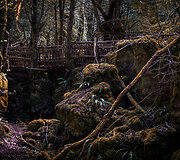 Senovinė giria &bdquo;Puzzlewood&ldquo; Didžiojoje Britanijoje &ndash; viena i&scaron; įkvėpimų &bdquo;Žiedų valdovo&ldquo; trilogijoje
