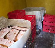 Nelegalus mėsos apdirbimo fabrikas