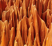 &bdquo;Tsingy Rouge&ldquo; uoliena Madagaskare