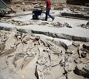 Archeologinių kasinėjimų metu Atėnų kapinėse rasti grandinėmis surakinti žmonių skeletai 