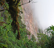 Roraimos stalkalnis