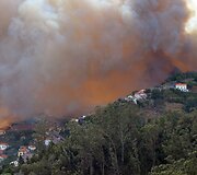 Mi&scaron;ko gaisras Madeiros saloje Portugalijoje
