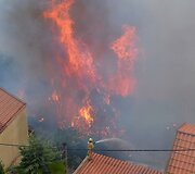 Mi&scaron;ko gaisras Madeiros saloje Portugalijoje