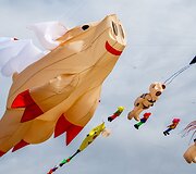 Vokietijos aitvarų festivalis