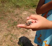 Įspūdžiai i&scaron; kelionės į Juodkalniją
