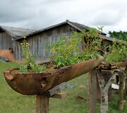 Vietnamo karo padariniai juntami ir &scaron;iandieniniame Laose