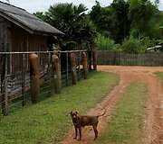 Vietnamo karo padariniai juntami ir &scaron;iandieniniame Laose