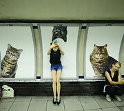 Merginos Londono metro fotografuojasi su kačių plakatais