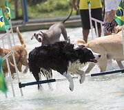 &Scaron;unų olimpiada Rio de Žaneire