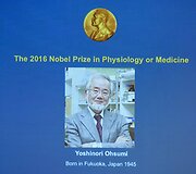 Nobelio apdovanojimų vertinimo komisija skelbia medicinos premijos laureatą