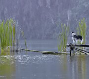 Indonezijos grožis ir įvairovė Nalo Rinaldo fotografijose