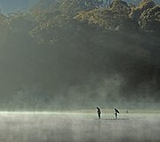 Indonezijos grožis ir įvairovė Nalo Rinaldo fotografijose