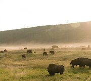 Fotografo kelionė po turistų aplenkiamas vietas