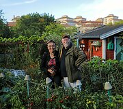 Stokholme vis labiau populiarėja ūkininkavimas