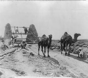 Kupranugariai kelia vandenį i&scaron; egiptieti&scaron;ko &scaron;ulinio 1905 m. 