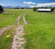 Naujosios Zelandijos peizaže po žemės drebėjimo susidarė siena