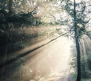 Svajinga fotografo kelionė per Vokietiją, &Scaron;veicariją ir Kroatiją