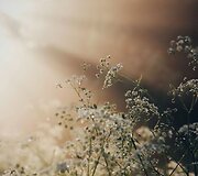 Svajinga fotografo kelionė per Vokietiją, &Scaron;veicariją ir Kroatiją