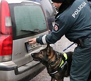Kauno pareigūnų &scaron;uo &bdquo;Barbar z  Danaru&ldquo;, dažnai vadinamas tiesiog &bdquo;Kodu&ldquo;