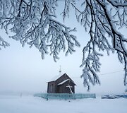 Nencai &ndash; &scaron;iaurės elnių augintojai i&scaron; Sibiro