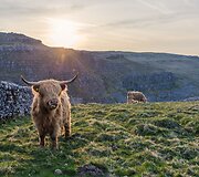 Fotografo Dave'o  Zdanowiczo gražiausi 2016-ųjų Didžiosios Britanijos peizažai 