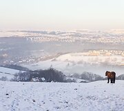 Fotografo Dave'o  Zdanowiczo gražiausi 2016-ųjų Didžiosios Britanijos peizažai 