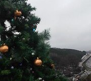 Vilniuje sužibo danguje i&scaron;keltos kalėdinės eglutės 