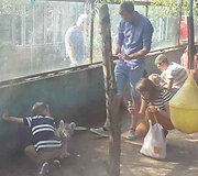 Klaipėdos zoologijos sodas, fotografavimas su tigrų jaunikliais