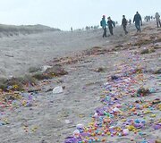 &Scaron;iaurės jūros saloje į krantą i&scaron;mesta gausybė plastikinių kiau&scaron;inių su žaisliukais