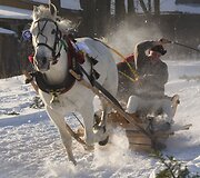 Tradicinės žirgų traukiamų vežimų lenktynės Zakopanėje