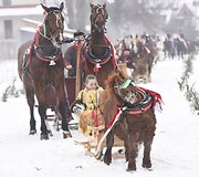 Tradicinės žirgų traukiamų vežimų lenktynės Zakopanėje