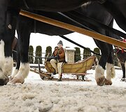 Tradicinės žirgų traukiamų vežimų lenktynės Zakopanėje
