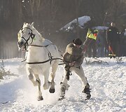 Tradicinės žirgų traukiamų vežimų lenktynės Zakopanėje