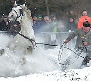 Tradicinės žirgų traukiamų vežimų lenktynės Zakopanėje