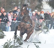 Tradicinės žirgų traukiamų vežimų lenktynės Zakopanėje