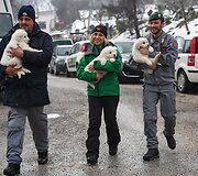 Italijos gelbėtojai lavinos palaidotame vie&scaron;butyje rado tris gyvus &scaron;uniukus