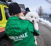 Italijos gelbėtojai lavinos palaidotame vie&scaron;butyje rado tris gyvus &scaron;uniukus