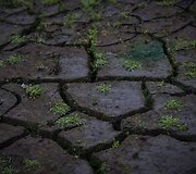 Po sausros Ispanijoje i&scaron;niro užtvankos užlieto kaimo griuvėsiai